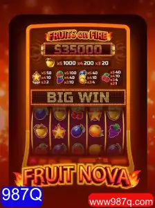 Explorando o Mundo de FruitNova: O Jogo que Conquista os Amantes dos Puzzles